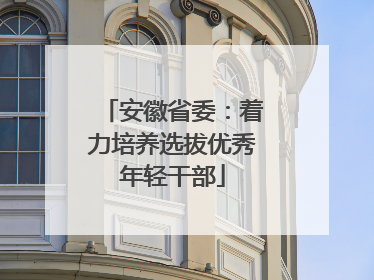 安徽省委：着力培养选拔优秀年轻干部