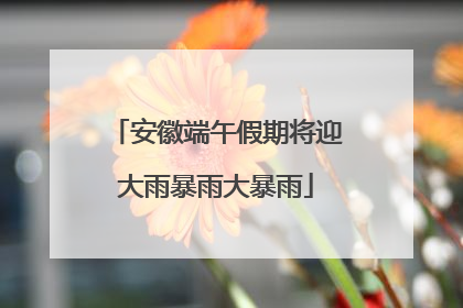 安徽端午假期将迎大雨暴雨大暴雨