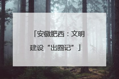 安徽肥西：文明建设“出圈记”