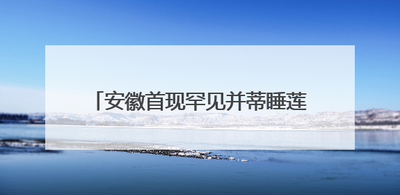 安徽首现罕见并蒂睡莲 概率仅为百万分之一
