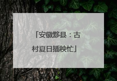 安徽黟县：古村夏日插秧忙