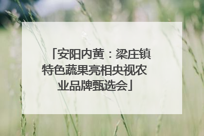 安阳内黄：梁庄镇特色蔬果亮相央视农业品牌甄选会