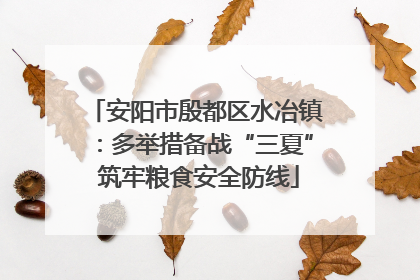安阳市殷都区水冶镇：多举措备战“三夏” 筑牢粮食安全防线