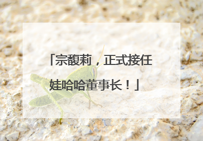 宗馥莉，正式接任娃哈哈董事长！