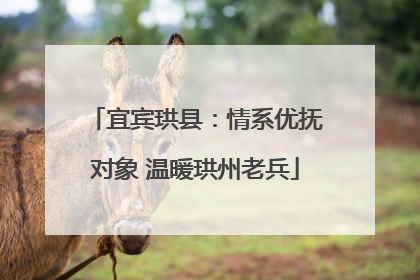 宜宾珙县：情系优抚对象 温暖珙州老兵