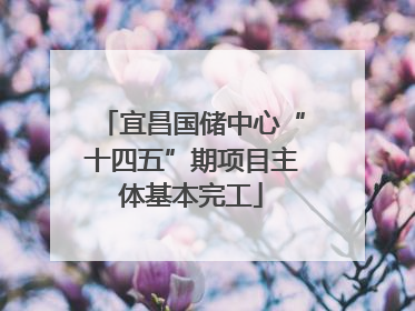 宜昌国储中心“十四五”期项目主体基本完工