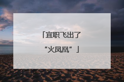 宜职飞出了“火凤凰”