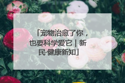 宠物治愈了你，也要科学爱它｜新民·健康新知