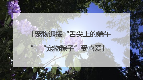 宠物迎接“舌尖上的端午” “宠物粽子”受喜爱