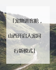 宠物进客舱，山西开启人宠同行新模式