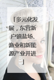 多元化发展，东营新户镇盐场、渔业和新能源产业并进