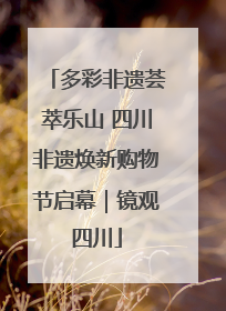 多彩非遗荟萃乐山 四川非遗焕新购物节启幕｜镜观四川