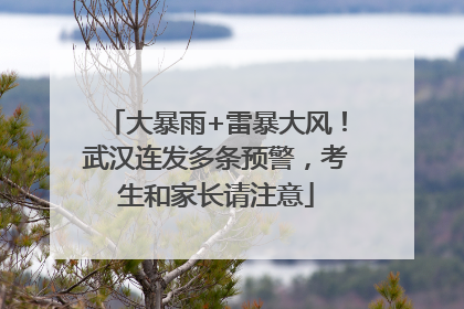 大暴雨+雷暴大风！武汉连发多条预警，考生和家长请注意