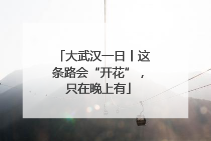 大武汉一日丨这条路会“开花”，只在晚上有