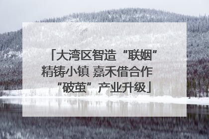 大湾区智造“联姻”精铸小镇 嘉禾借合作“破茧”产业升级