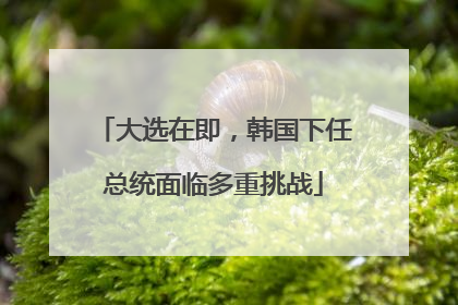 大选在即，韩国下任总统面临多重挑战