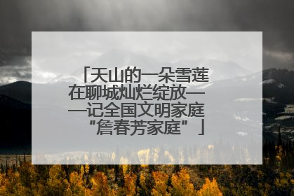 天山的一朵雪莲在聊城灿烂绽放——记全国文明家庭“詹春芳家庭”