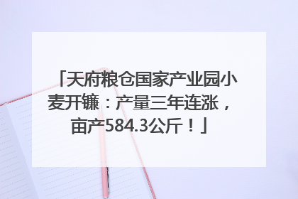 天府粮仓国家产业园小麦开镰：产量三年连涨，亩产584.3公斤！