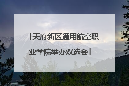 天府新区通用航空职业学院举办双选会