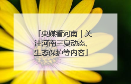央媒看河南｜关注河南三夏动态、生态保护等内容