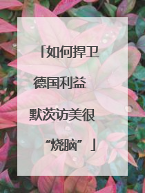 如何捍卫德国利益 默茨访美很“烧脑”