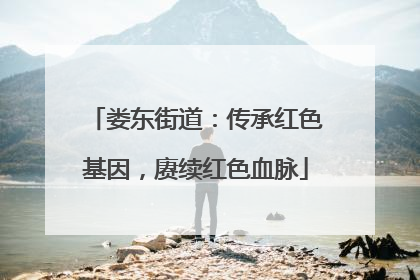 娄东街道：传承红色基因，赓续红色血脉