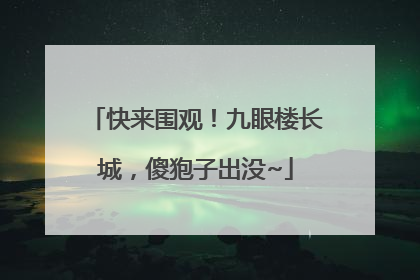 快来围观！九眼楼长城，傻狍子出没~
