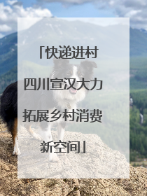 快递进村 四川宣汉大力拓展乡村消费新空间