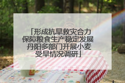 形成抗旱救灾合力 保障粮食生产稳定发展 丹阳多部门开展小麦受旱情况调研