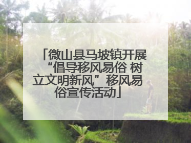 微山县马坡镇开展“倡导移风易俗 树立文明新风”移风易俗宣传活动