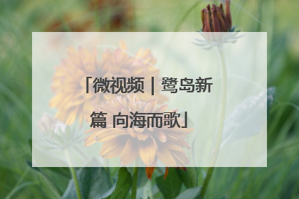 微视频｜鹭岛新篇 向海而歌