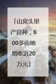 山窝头里产良种，600多亩地增收近20万元