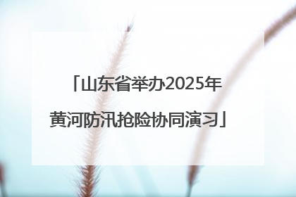 山东省举办2025年黄河防汛抢险协同演习