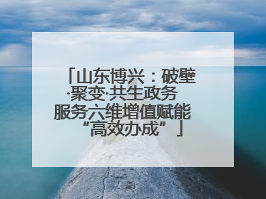 山东博兴：破壁·聚变·共生政务服务六维增值赋能“高效办成”