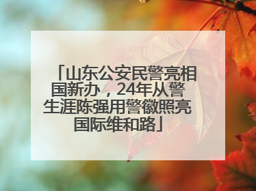 山东公安民警亮相国新办，24年从警生涯陈强用警徽照亮国际维和路
