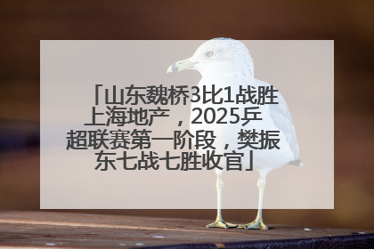山东魏桥3比1战胜上海地产，2025乒超联赛第一阶段，樊振东七战七胜收官
