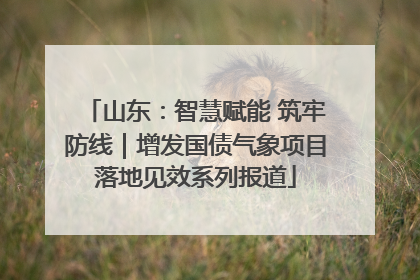 山东：智慧赋能 筑牢防线｜增发国债气象项目落地见效系列报道