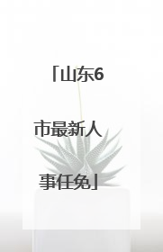 山东6市最新人事任免