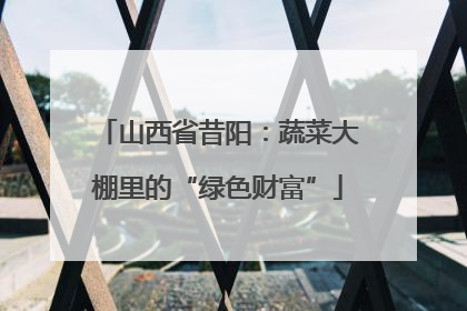山西省昔阳：蔬菜大棚里的“绿色财富”