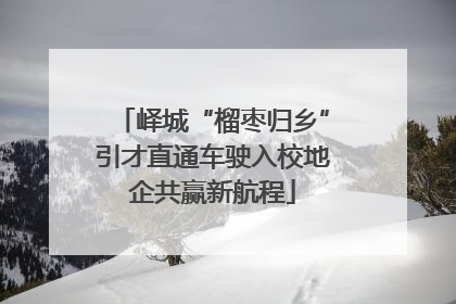峄城“榴枣归乡”引才直通车驶入校地企共赢新航程