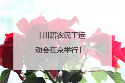 川籍农民工运动会在京举行
