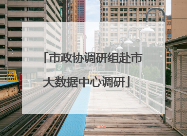市政协调研组赴市大数据中心调研