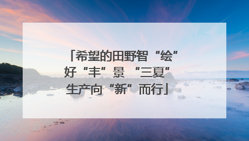 希望的田野智“绘”好“丰”景 “三夏”生产向“新”而行