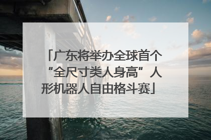 广东将举办全球首个“全尺寸类人身高”人形机器人自由格斗赛