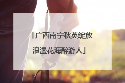 广西南宁秋英绽放 浪漫花海醉游人
