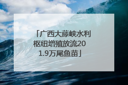 广西大藤峡水利枢纽增殖放流201.9万尾鱼苗