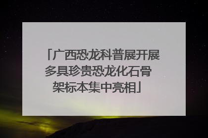 广西恐龙科普展开展 多具珍贵恐龙化石骨架标本集中亮相