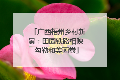广西梧州乡村新景：田园铁路相映 勾勒和美画卷