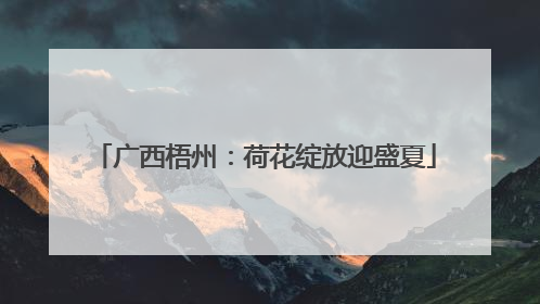 广西梧州：荷花绽放迎盛夏