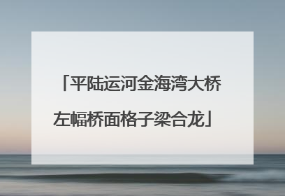 平陆运河金海湾大桥左幅桥面格子梁合龙
